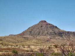 Opu01
