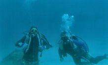 Tropea4